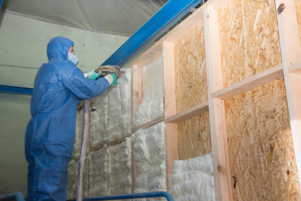 Best Attic Insulation Installation  in La Selva Beach, CA
