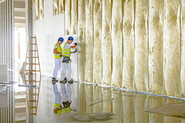Best Blown-in Insulation  in La Selva Beach, CA
